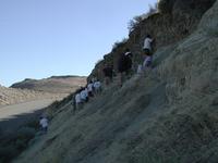 DSCN0831.JPG(701456 bytes) -- NIKON-E990,  2002:09:23 16:13:29,  [2048 x 1536],  fl=N,  f= 9.3mm,  exptime=0.005 s  (1/202),  f/6.5