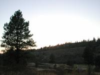 DSCN0902.JPG(610122 bytes) -- NIKON-E990,  2002:09:25 18:33:57,  [2048 x 1536],  fl=N,  f= 8.2mm,  exptime=0.006 s  (1/158),  f/3.1