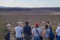 IMG00426.jpg(1096547 bytes) -- SIGMA-SIGMA SD9,  2004:03:31 16:53:19,  [2268 x 1512],  fl=N,  f=30.0mm,  exptime=0.004 s  (1/250),  f/8.0