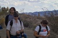 IMG00428.jpg(848884 bytes) -- SIGMA-SIGMA SD9,  2004:03:31 16:54:54,  [2268 x 1512],  fl=N,  f=70.0mm,  exptime=0.002 s  (1/500),  f/8.0