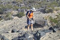 IMG00465.jpg(2015443 bytes) -- SIGMA-SIGMA SD9,  2004:04:01 09:36:32,  [2268 x 1512],  fl=N,  f=70.0mm,  exptime=0.002 s  (1/500),  f/8.0